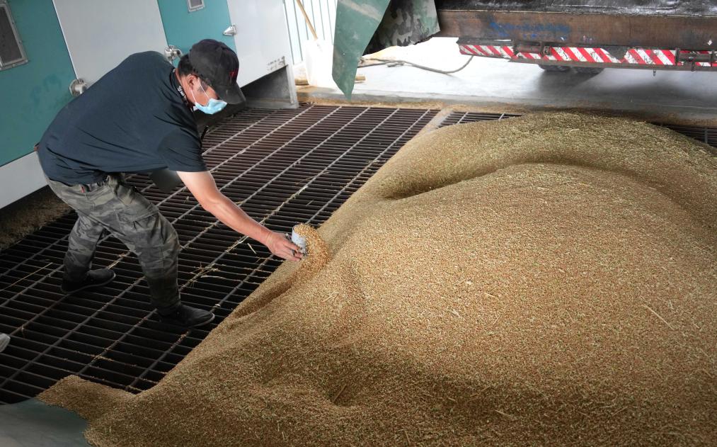 中国饭碗里装了更多中国粮 2024年我国粮食产量首次突破14万亿斤(图4)