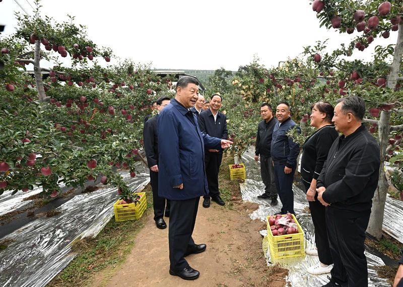 时政微观察丨新年贺词里的家国情(图2)