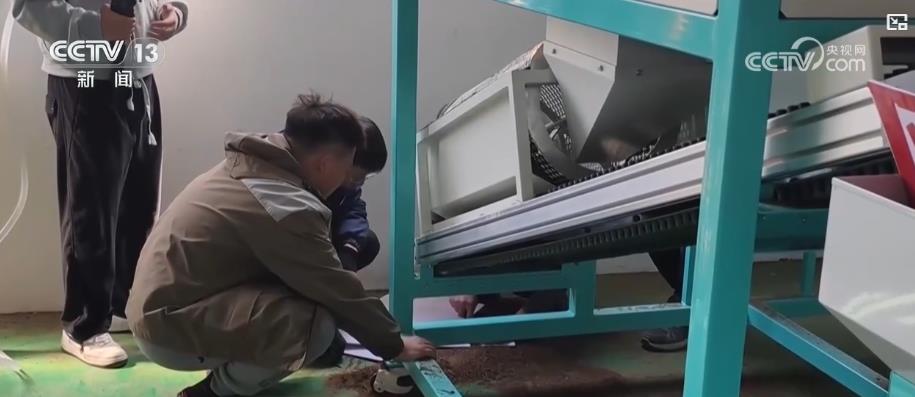 从手插秧到智能育秧：新科技赋能农业生产 “指尖种田”种出“万亩粮仓”(图1)