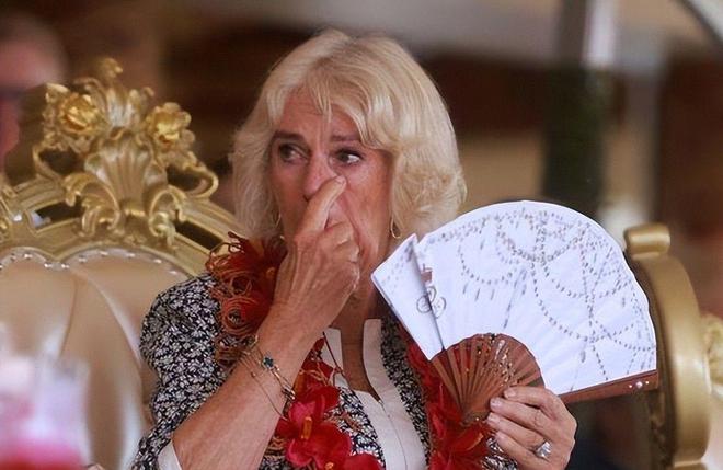 戴安娜靠孙女翻盘！曾被卡米拉压了一辈子孙女一个举动让她稳赢(图18)