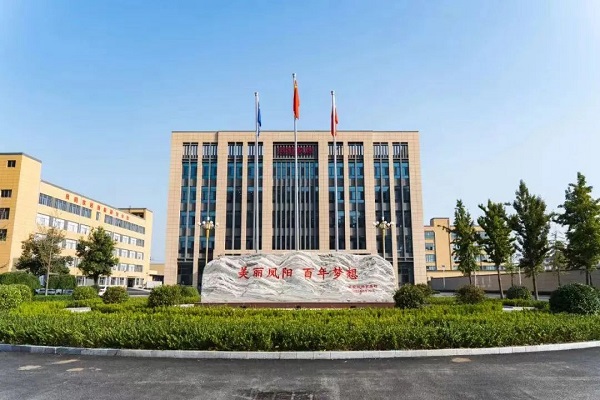 走进凤阳家居 见证民族企业逆势增长密码(图1)