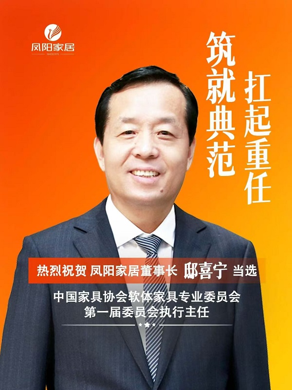 走进凤阳家居 见证民族企业逆势增长密码(图7)