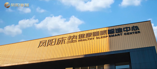 走进凤阳家居 见证民族企业逆势增长密码(图9)
