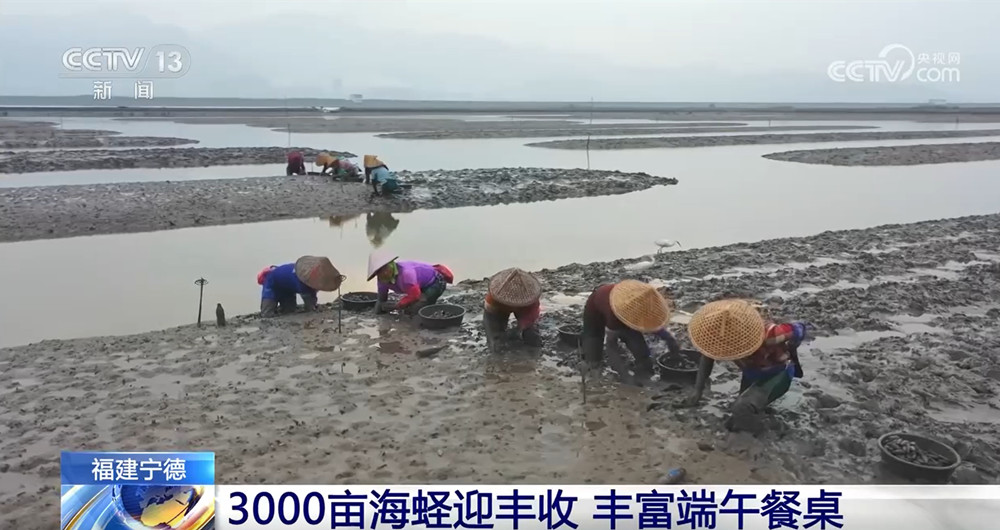端午临近节前消费市场活力涌动(图1)