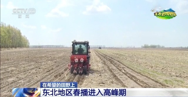 在希望的田野上丨东北春播进度近三成一键查看各地农业生产进度条→(图2)