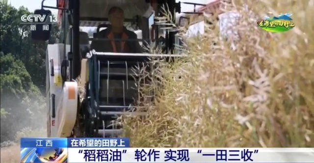 在希望的田野上丨东北春播进度近三成一键查看各地农业生产进度条→(图3)