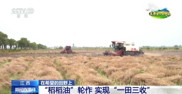 在希望的田野上丨东北春播进度近三成一键查看各地农业生产进度条→(图4)