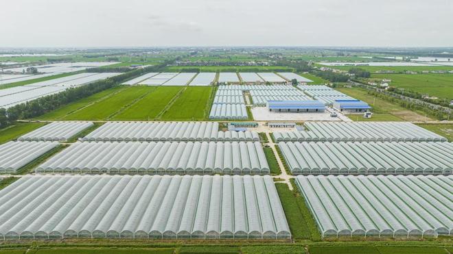 贯彻县委全会精神系列访谈⑦丨千秋镇：攻坚产业发展固根基绘就水韵生态新图景(图2)