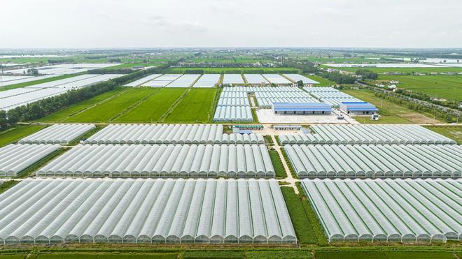 射阳县千秋镇：攻坚产业发展固根基绘就水韵生态新图景(图2)