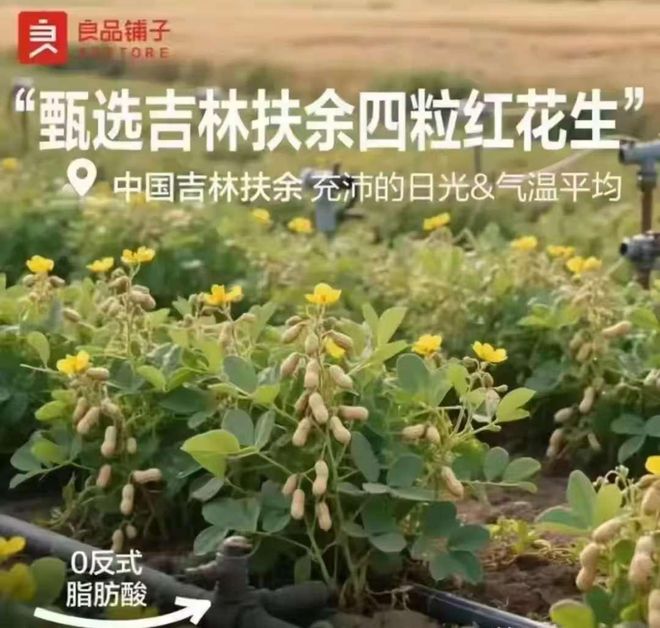 小米召回近15万台充电宝淘宝闪购日订单峰值达12亿良品铺子称花生上树海报是AI生成(图7)