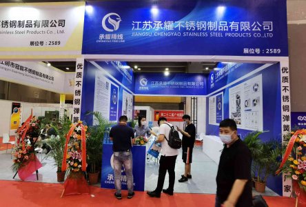 2024年中国工艺弹簧市场调查研究报告