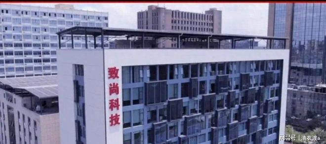 致尚科技在全球的工厂(图1)