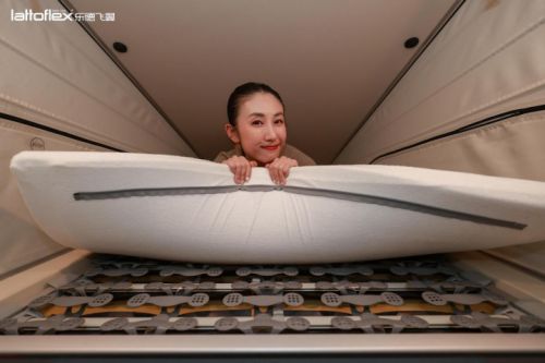 Lattoflex乐德飞翼携手奔驰露营车亮相2025广州设计周户外嗜好节(图2)