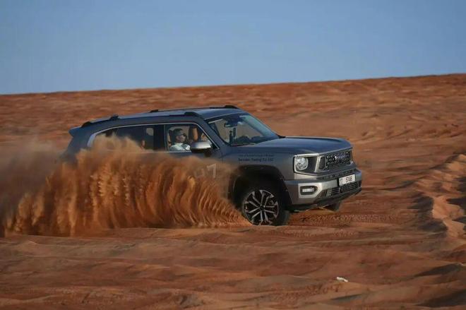 从戈壁赛道到全球市场！车手魏建军：用最硬核方式为中国车正名(图7)