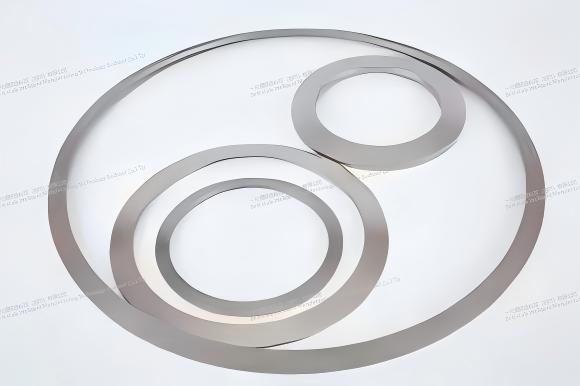 2026年碟形弹簧波形弹簧厂家实力推荐：超高扭力碟簧、高精度波簧、防松垫圈源头企业深度解析(图1)