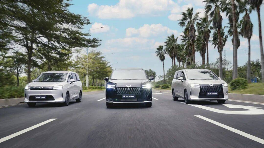 7座建议买的纯电车四款热门车型对比(图1)