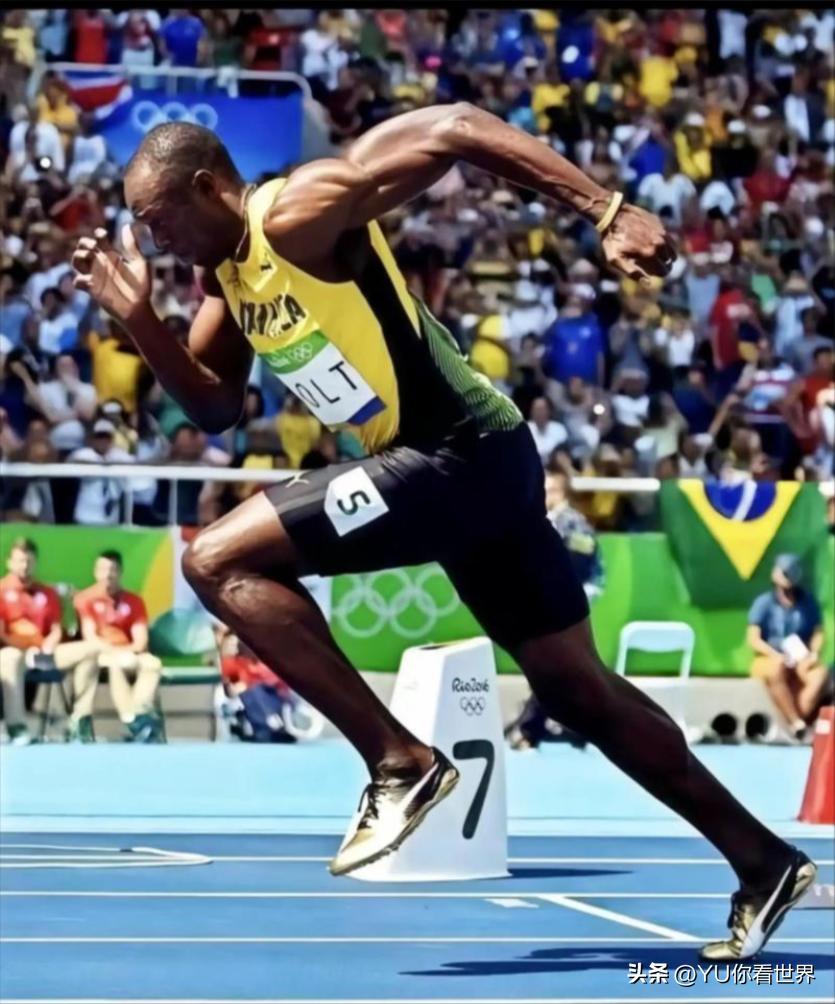 每秒13拳、8秒骑200米、一天赚130亿：全球最快的10个非人类(图10)