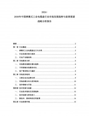2024-2029年中国强力弹簧行业项目调研及市场前景预测评估报告